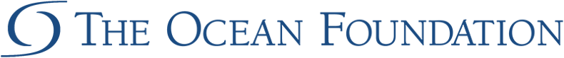 The Ocean Foundation logo